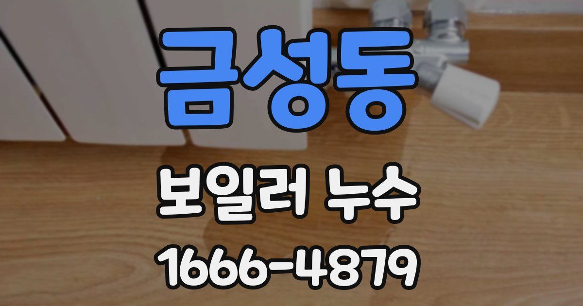 금성동 보일러 누수
