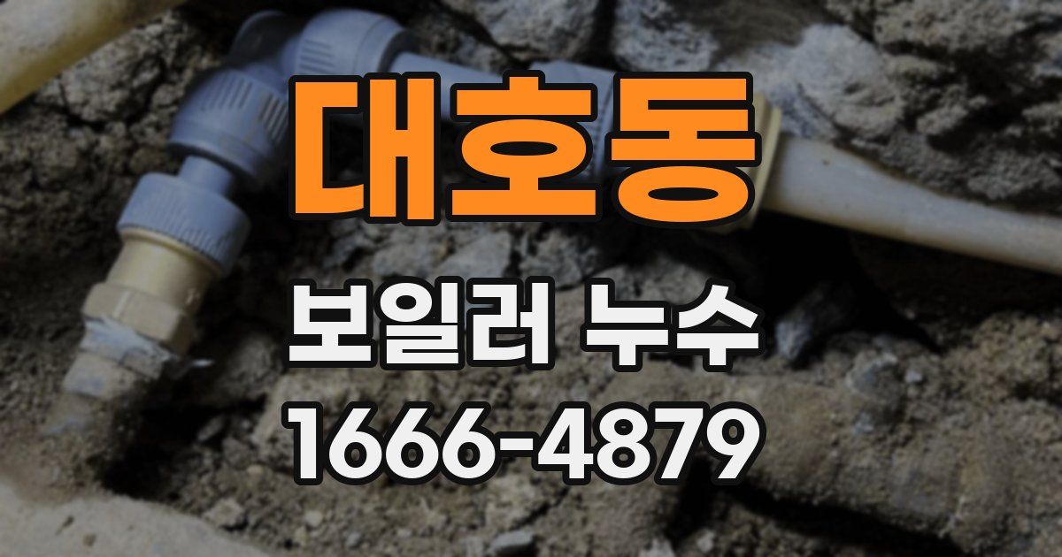 대호동 보일러 누수