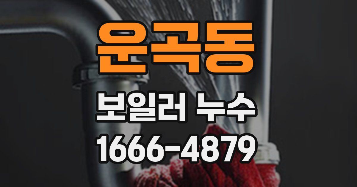 운곡동 보일러 누수