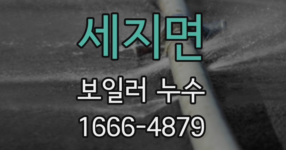 세지면 보일러 누수