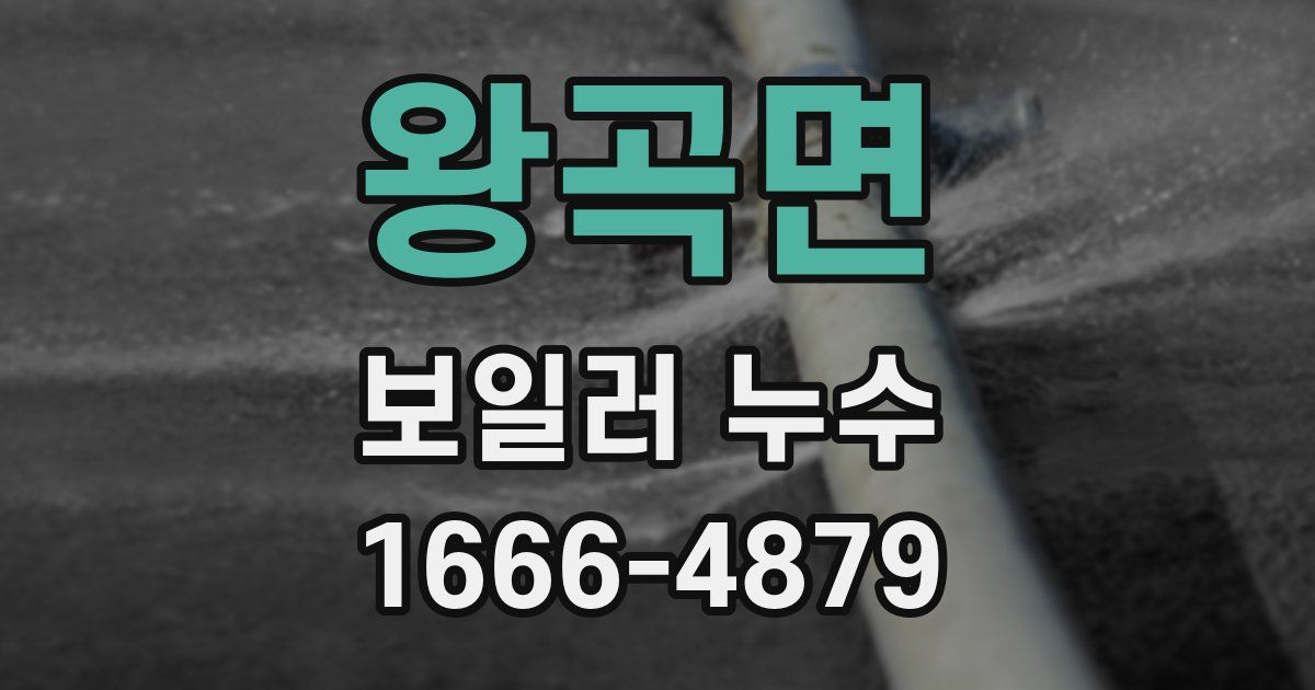 왕곡면 보일러 누수