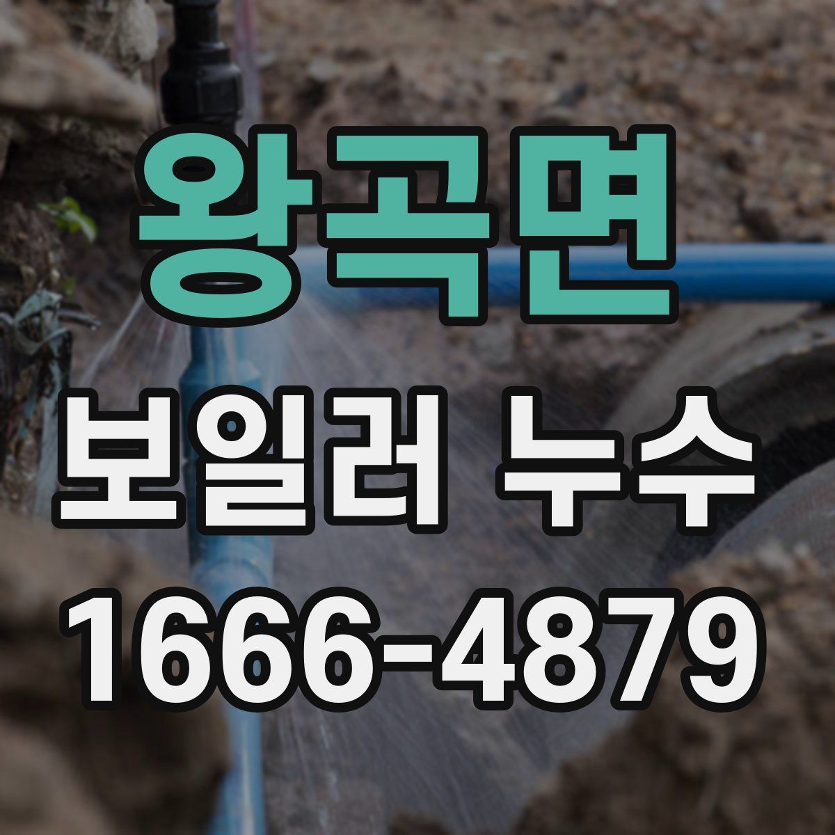 왕곡면 보일러 누수