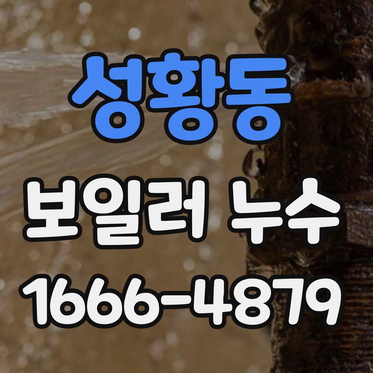 성황동 보일러 누수