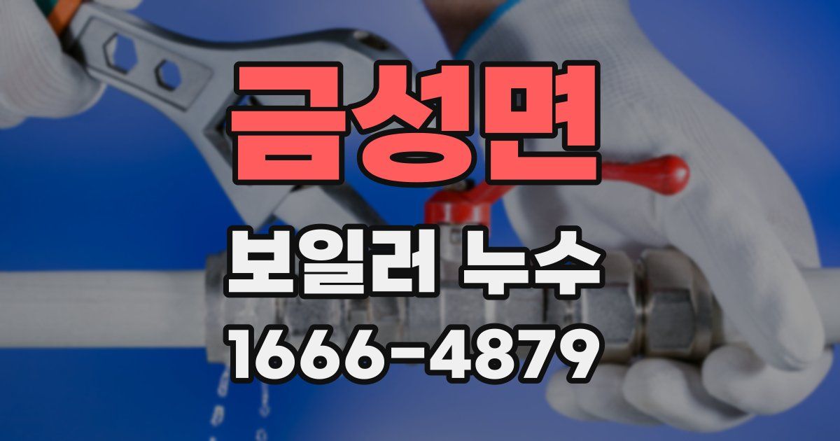 금성면 보일러 누수