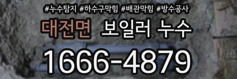대전면 보일러 누수