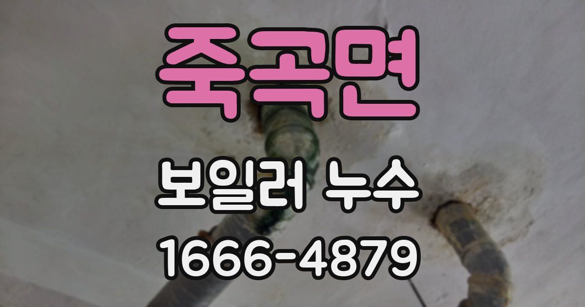 죽곡면 보일러 누수