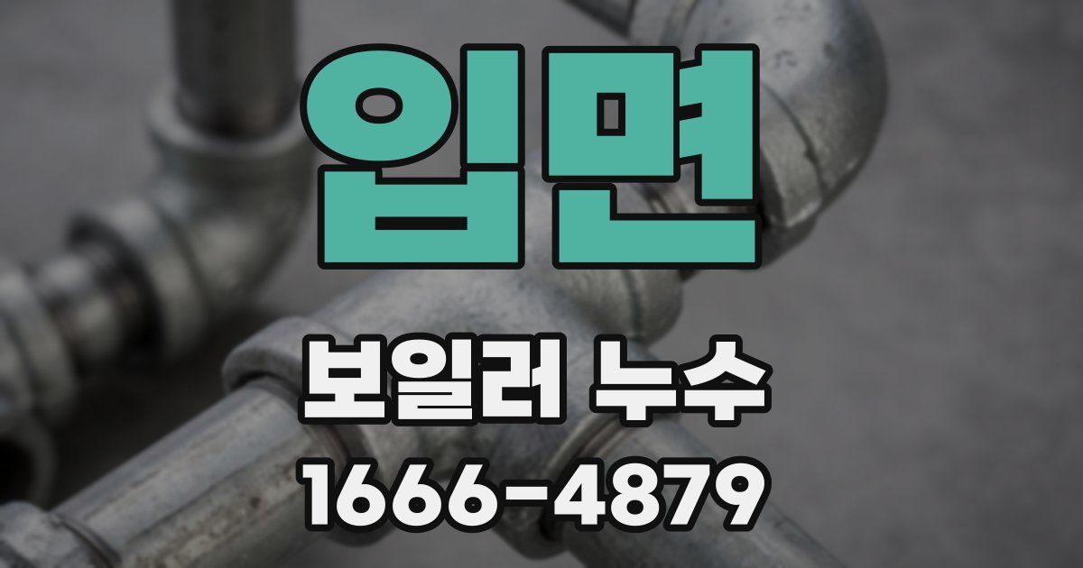 입면 보일러 누수