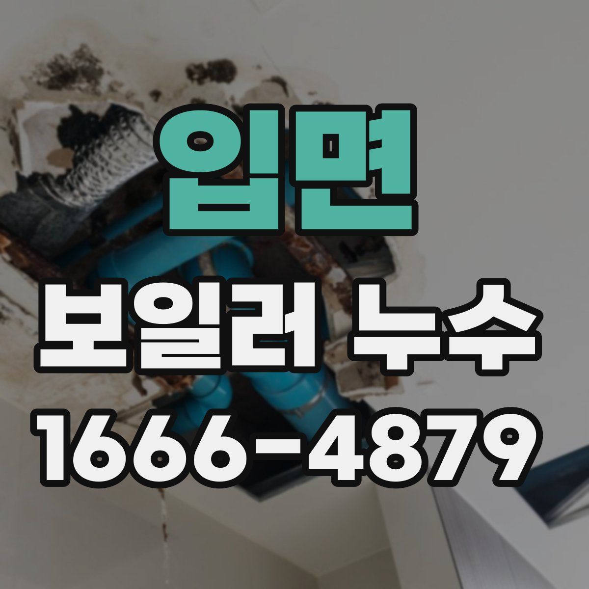입면 보일러 누수