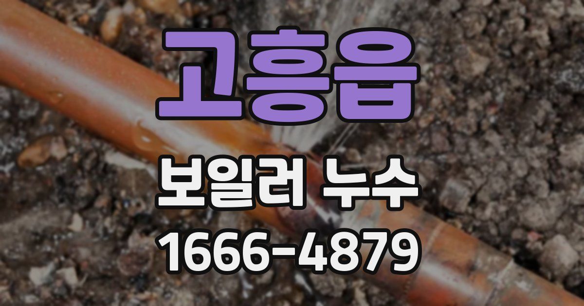 고흥읍 보일러 누수