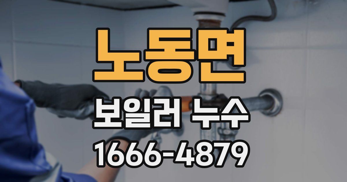 노동면 보일러 누수