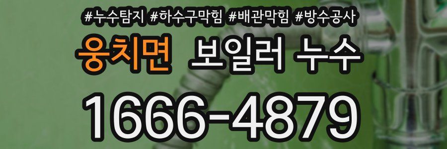 웅치면 보일러 누수