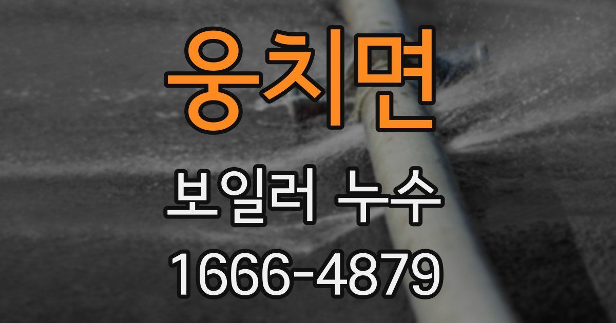 웅치면 보일러 누수