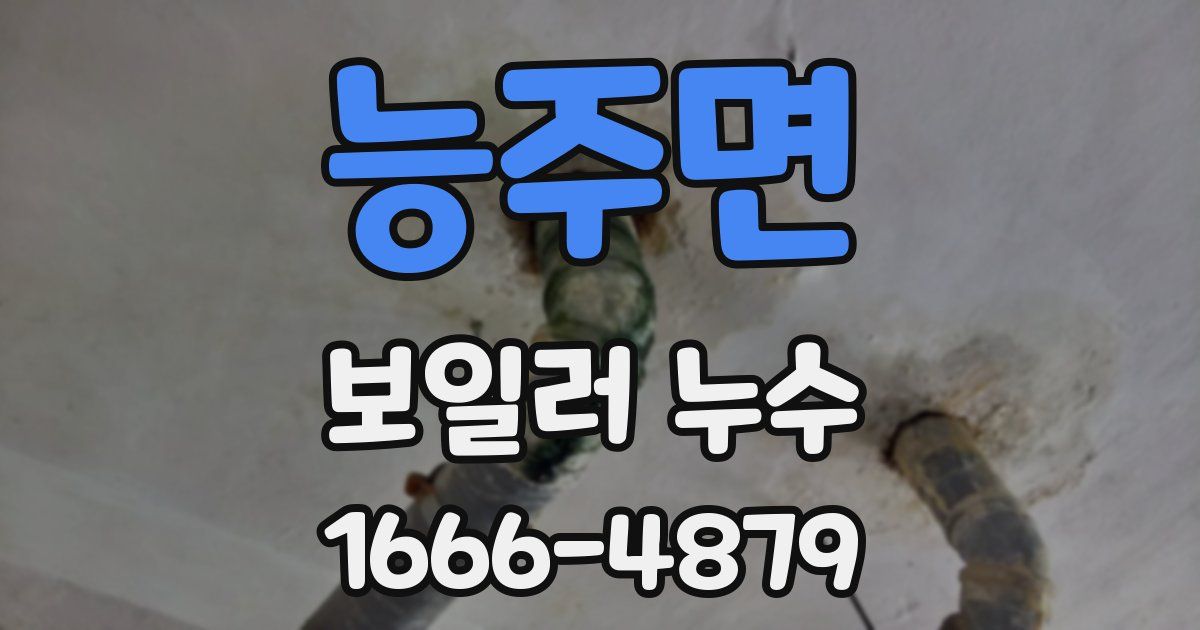 능주면 보일러 누수
