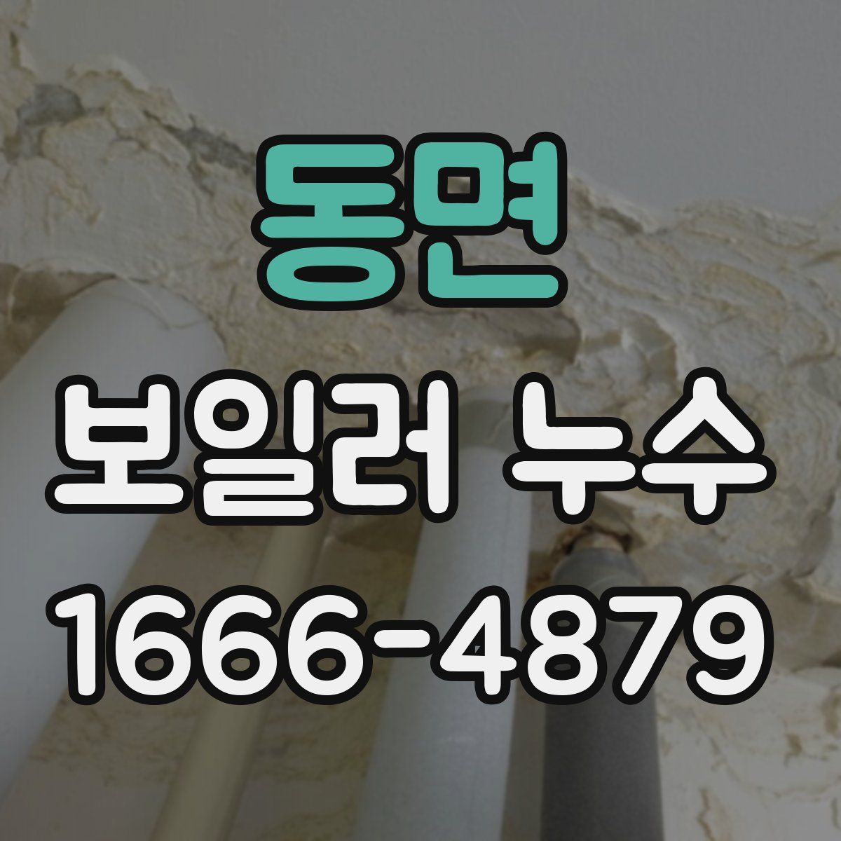 동면 보일러 누수