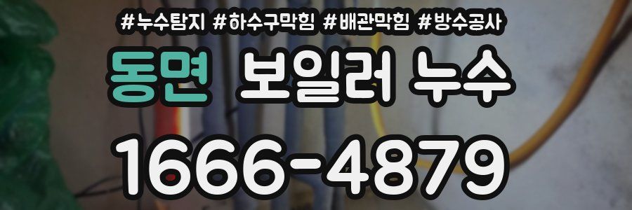 동면 보일러 누수
