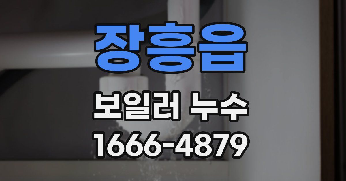 장흥읍 보일러 누수