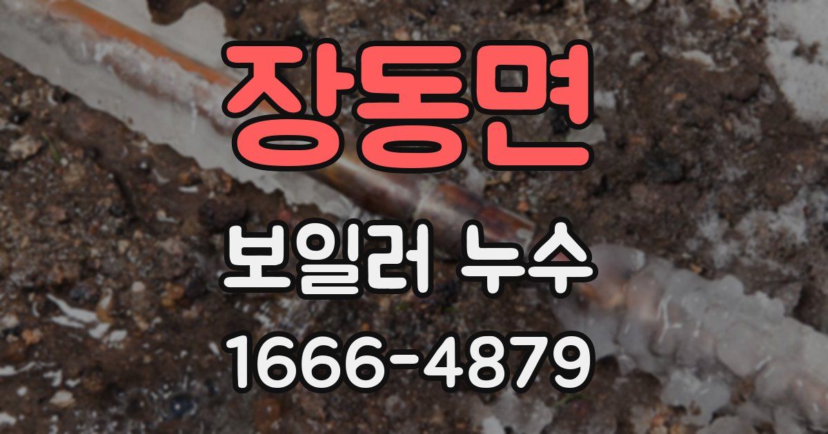 장동면 보일러 누수