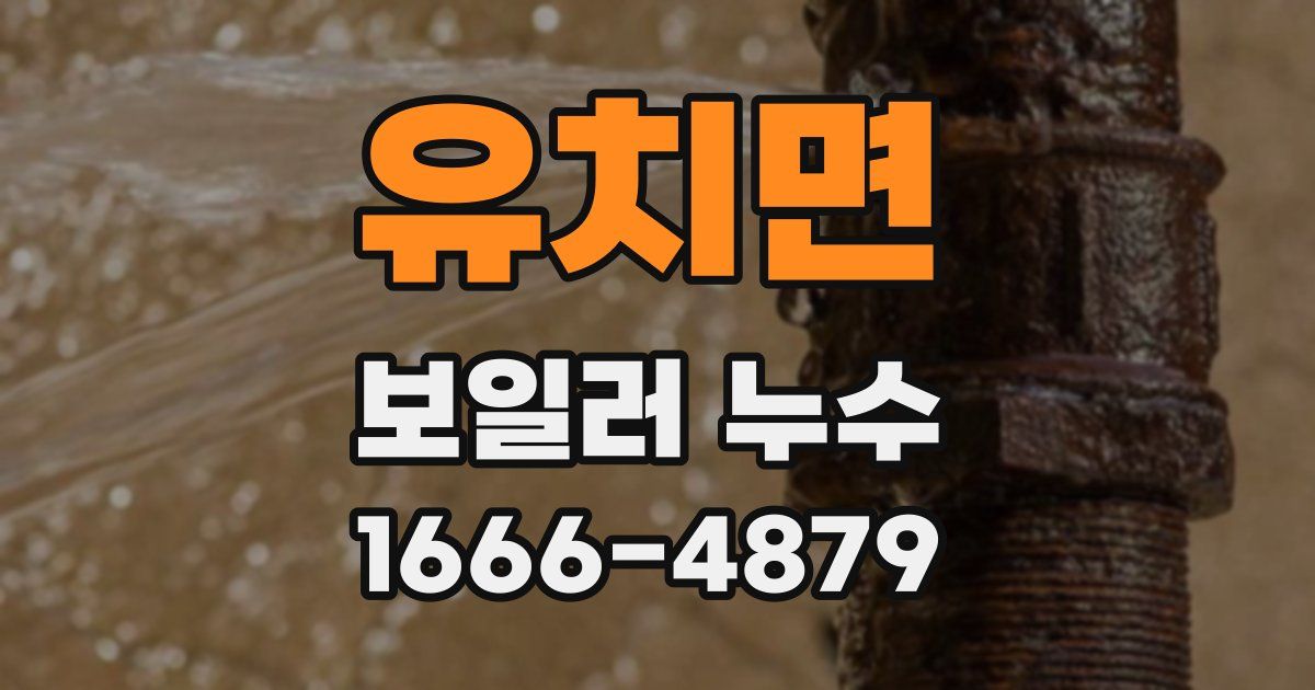 유치면 보일러 누수