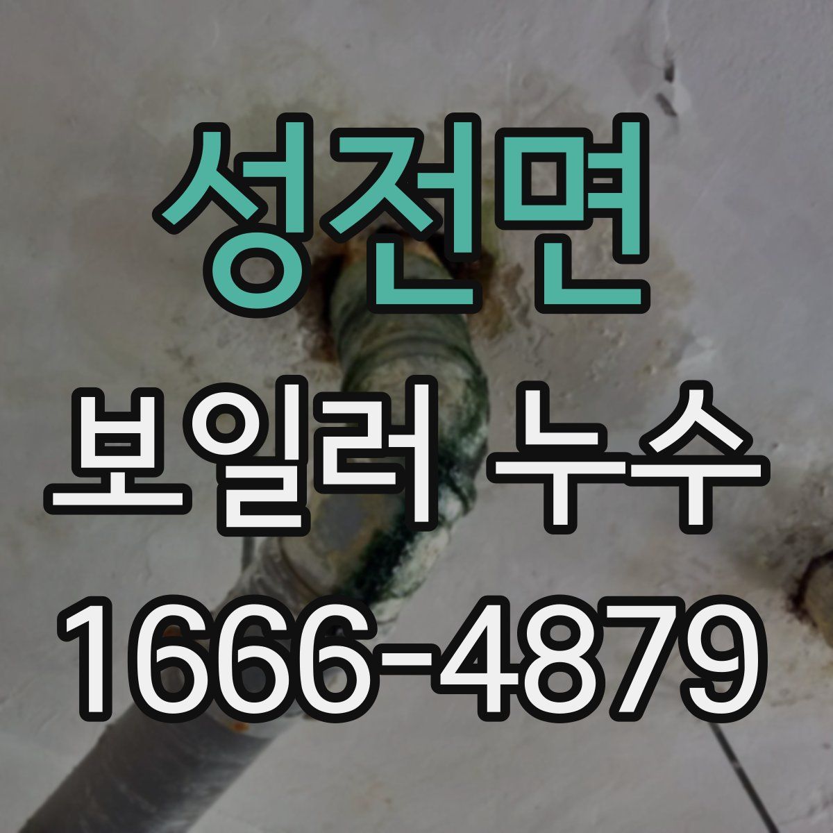 성전면 보일러 누수