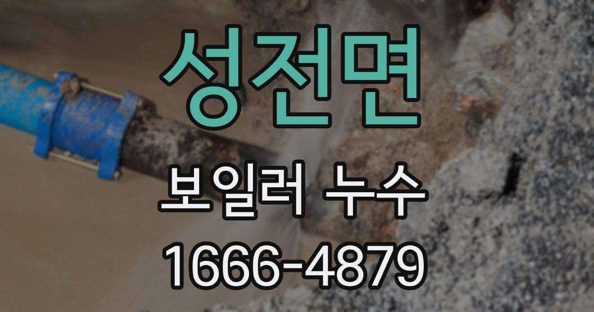 성전면 보일러 누수