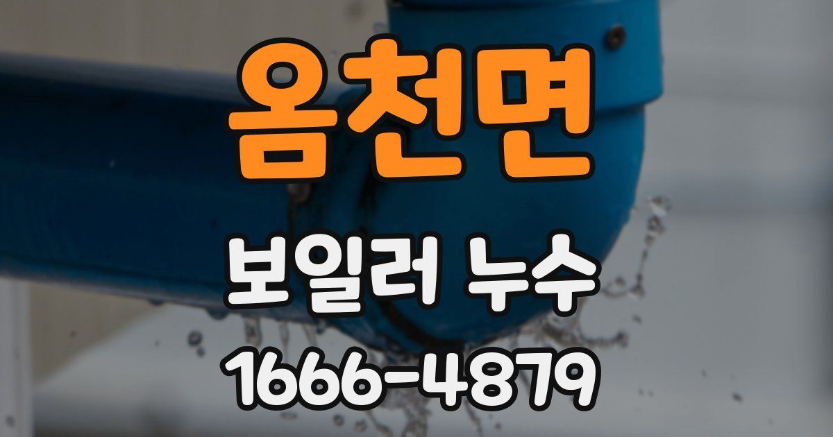 옴천면 보일러 누수
