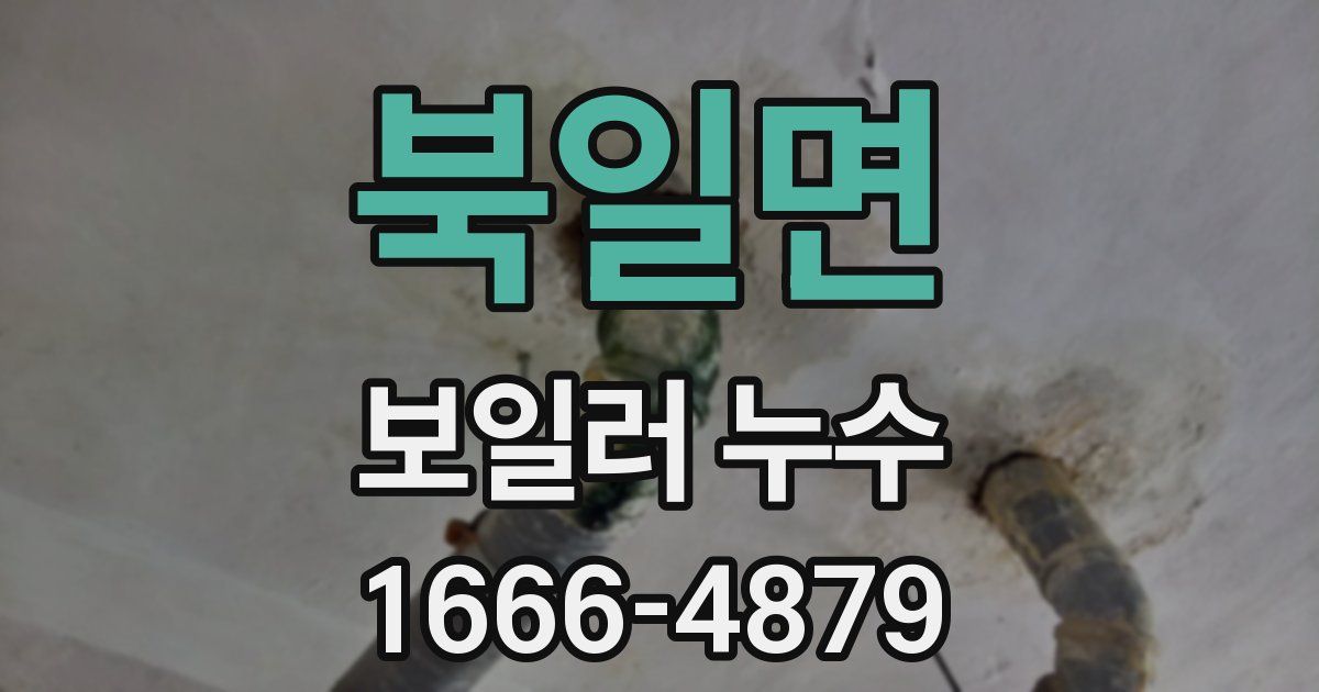 북일면 보일러 누수