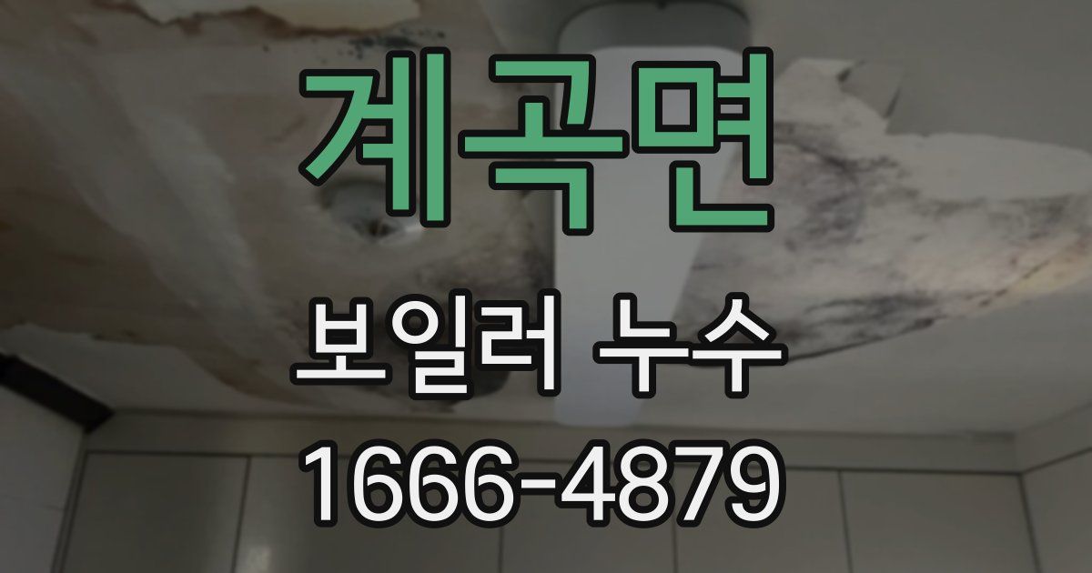 계곡면 보일러 누수