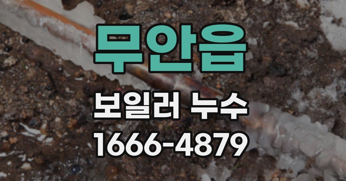 무안읍 보일러 누수