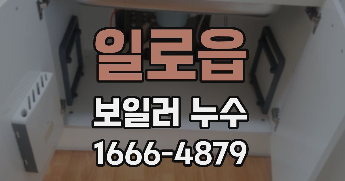 일로읍 보일러 누수