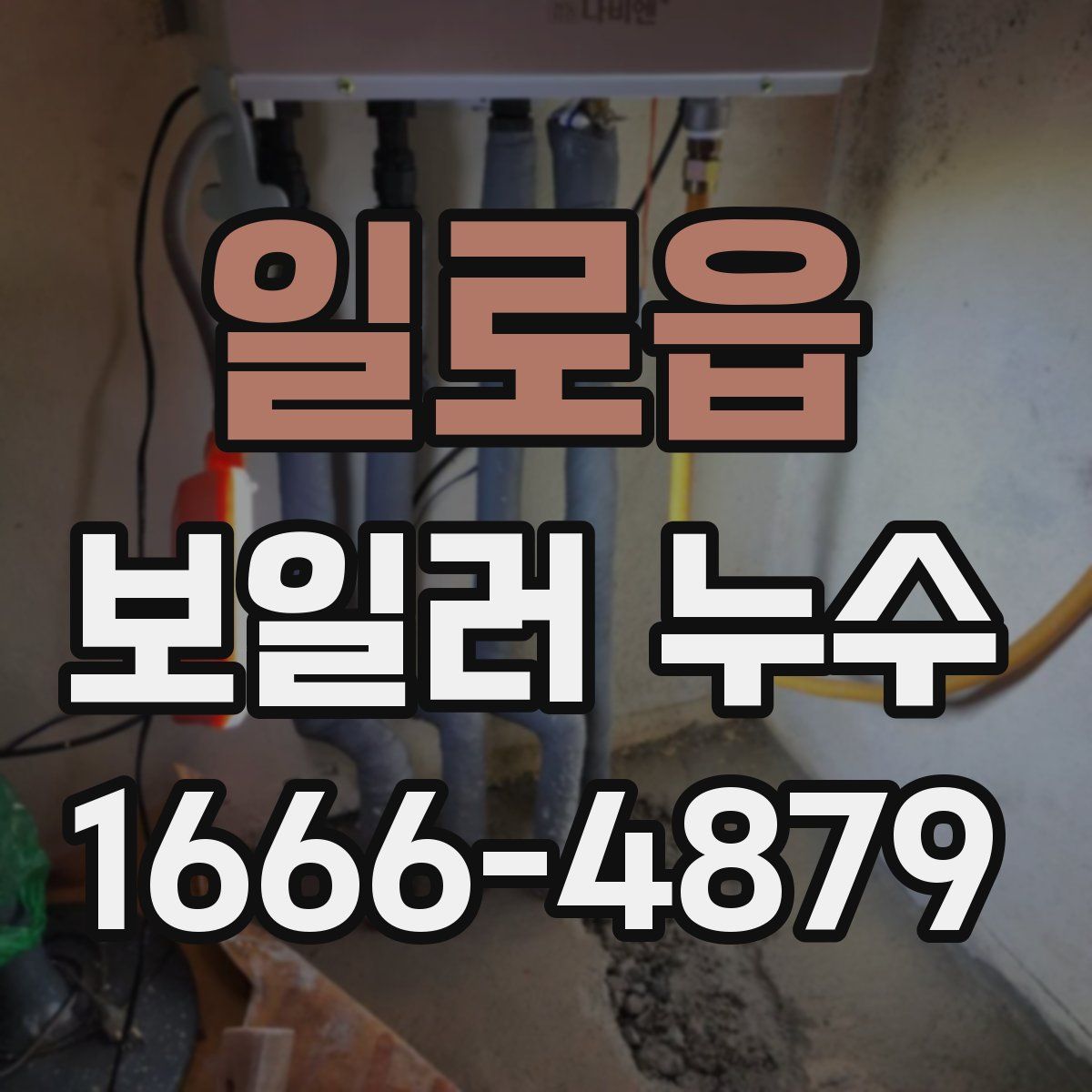 일로읍 보일러 누수