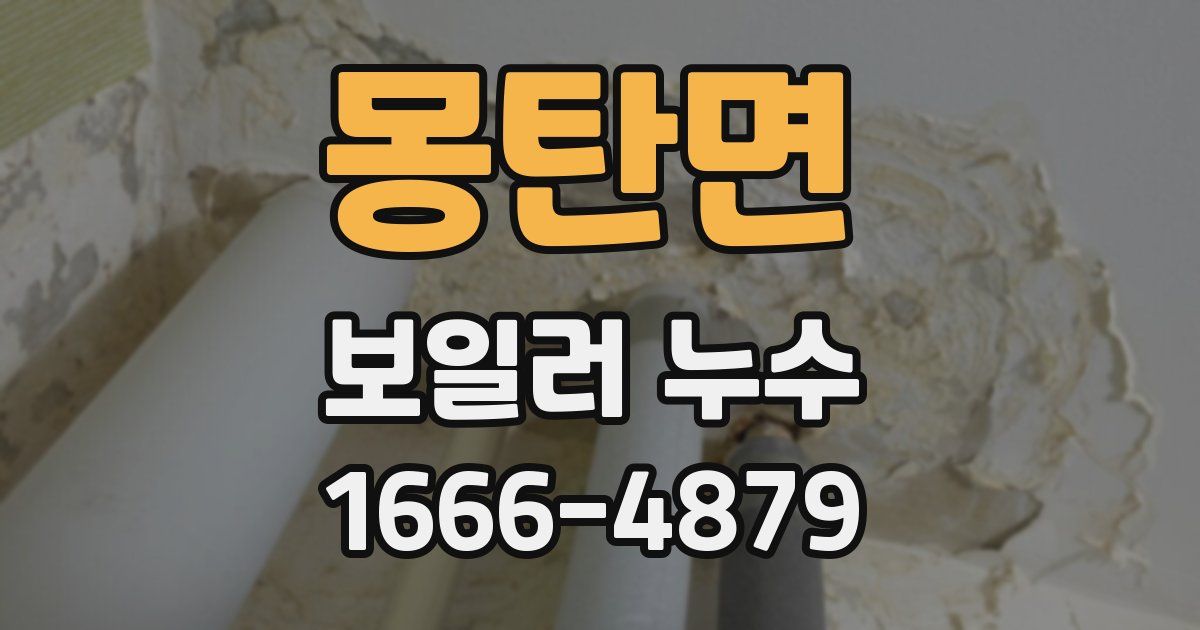 몽탄면 보일러 누수
