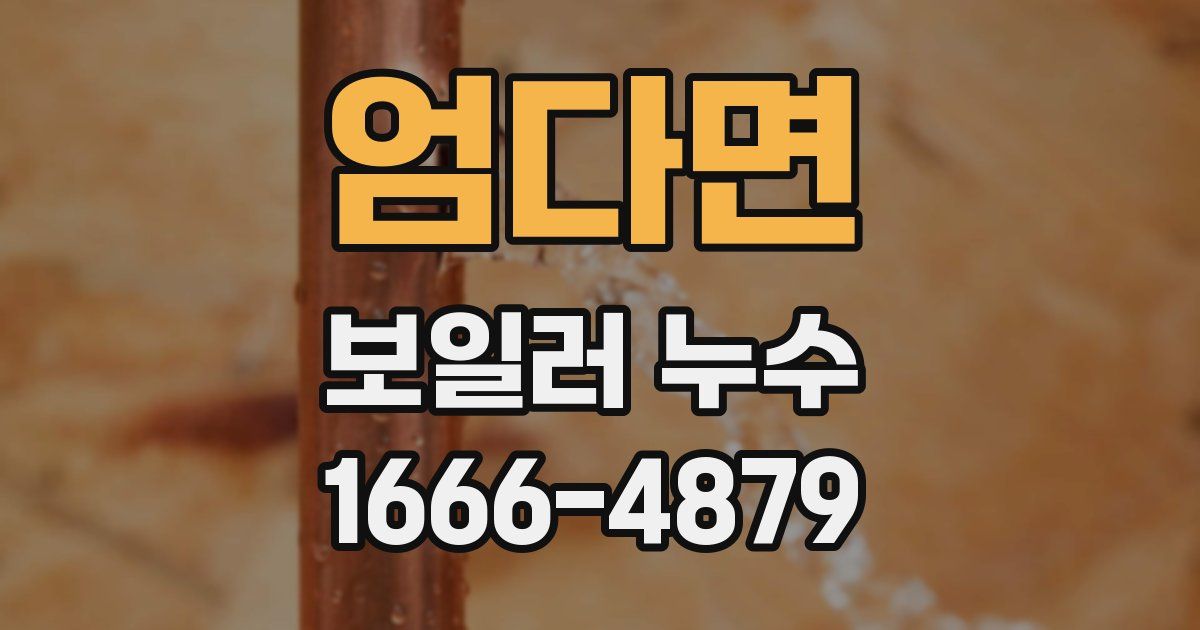 엄다면 보일러 누수