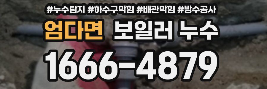 엄다면 보일러 누수
