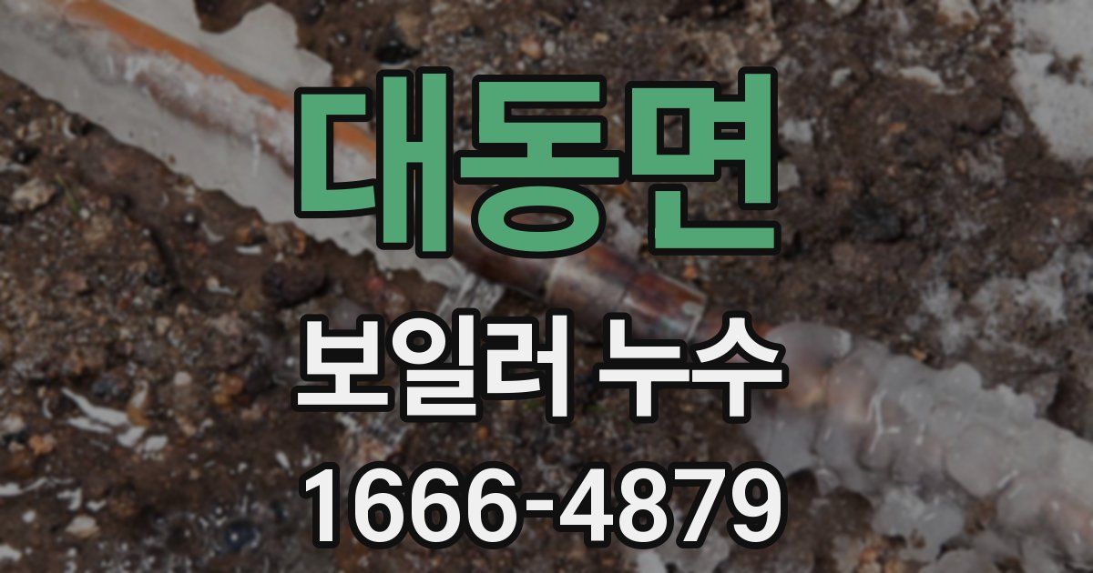 대동면 보일러 누수