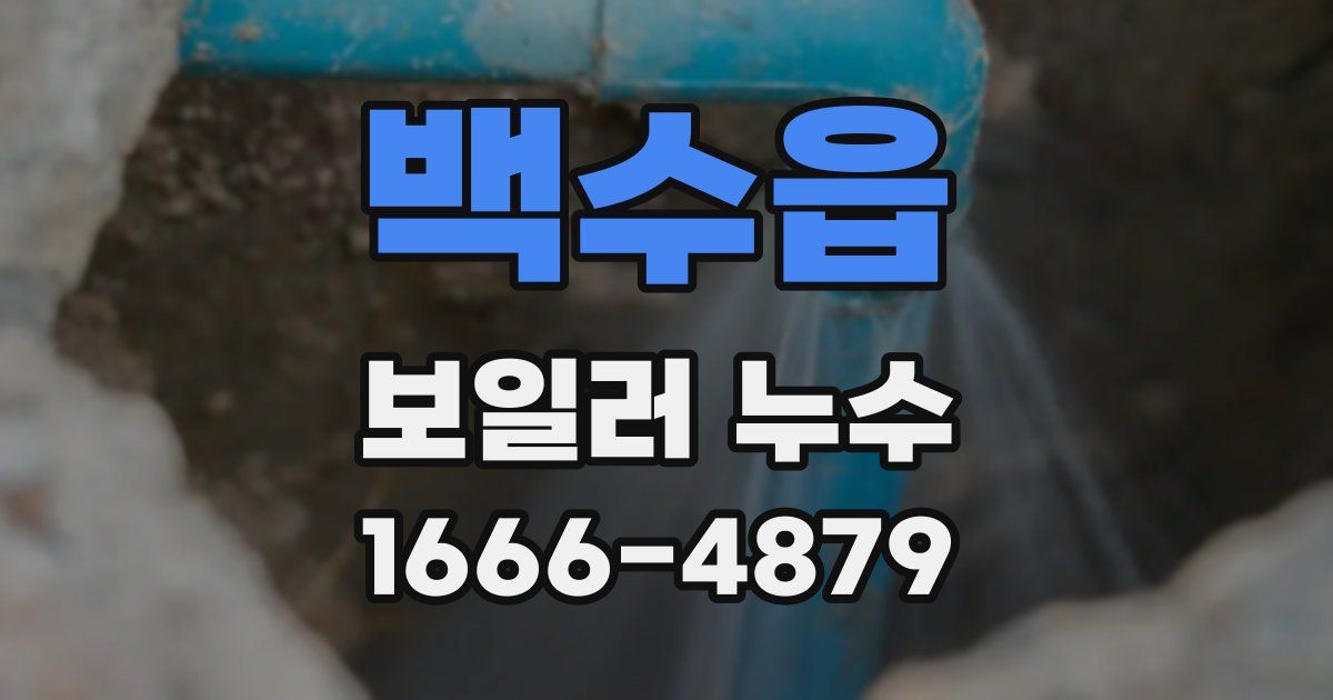 백수읍 보일러 누수