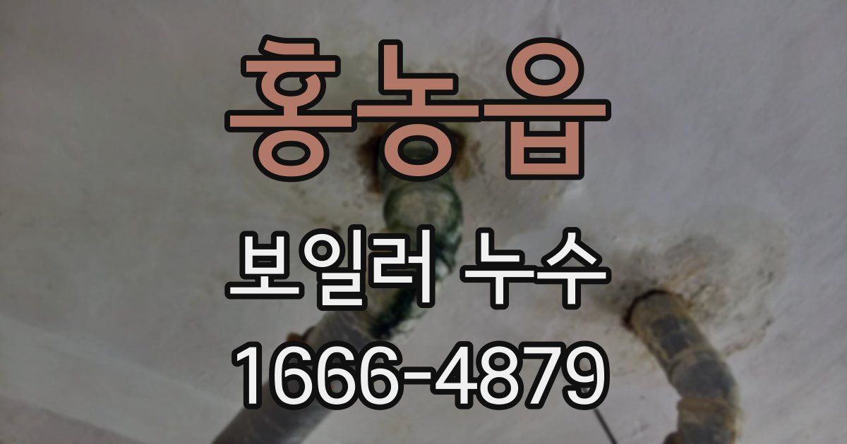 홍농읍 보일러 누수