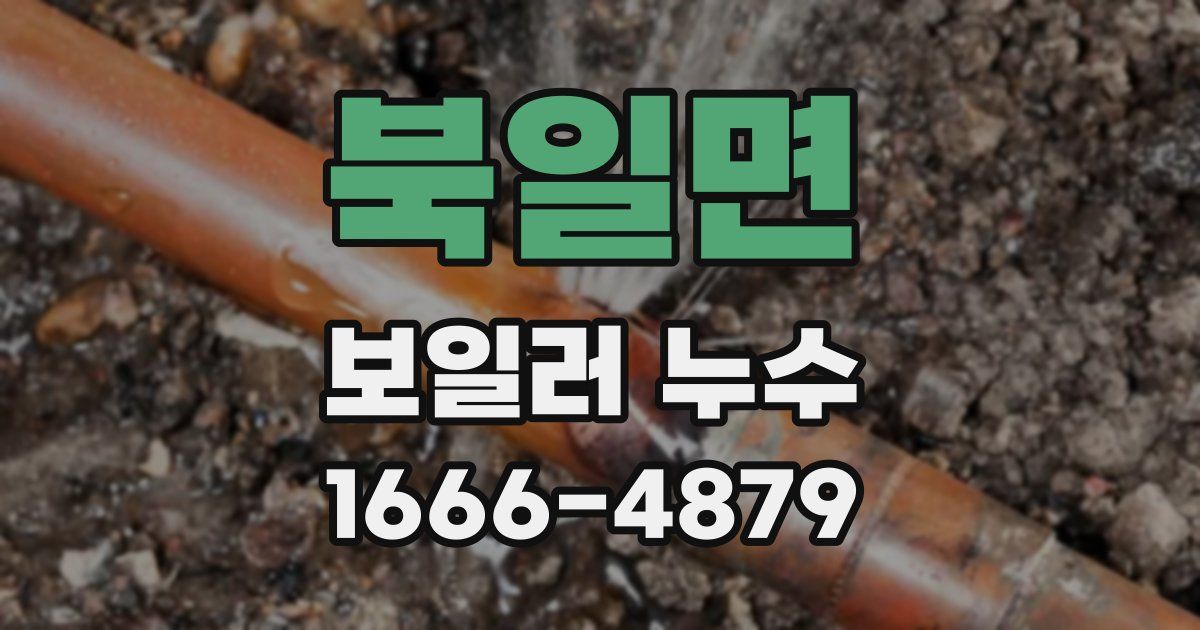 북일면 보일러 누수