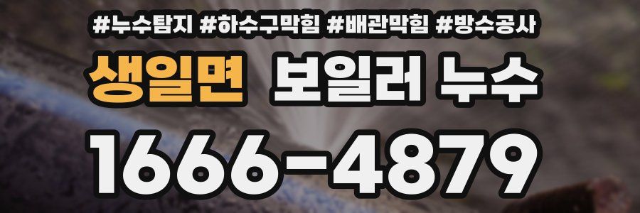 생일면 보일러 누수