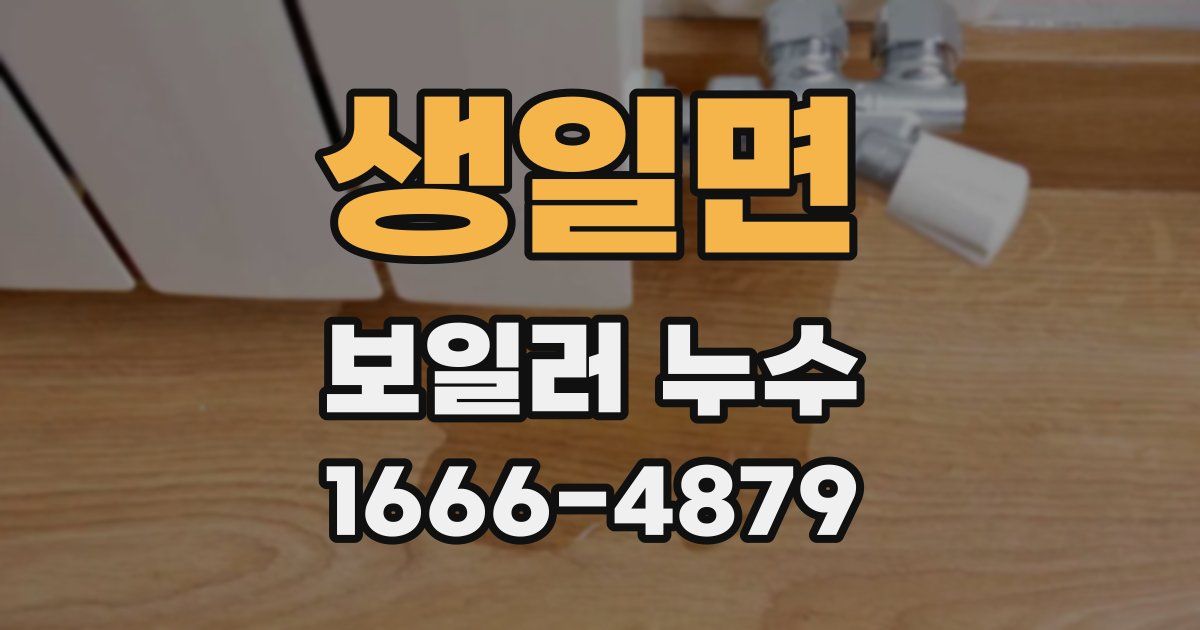생일면 보일러 누수