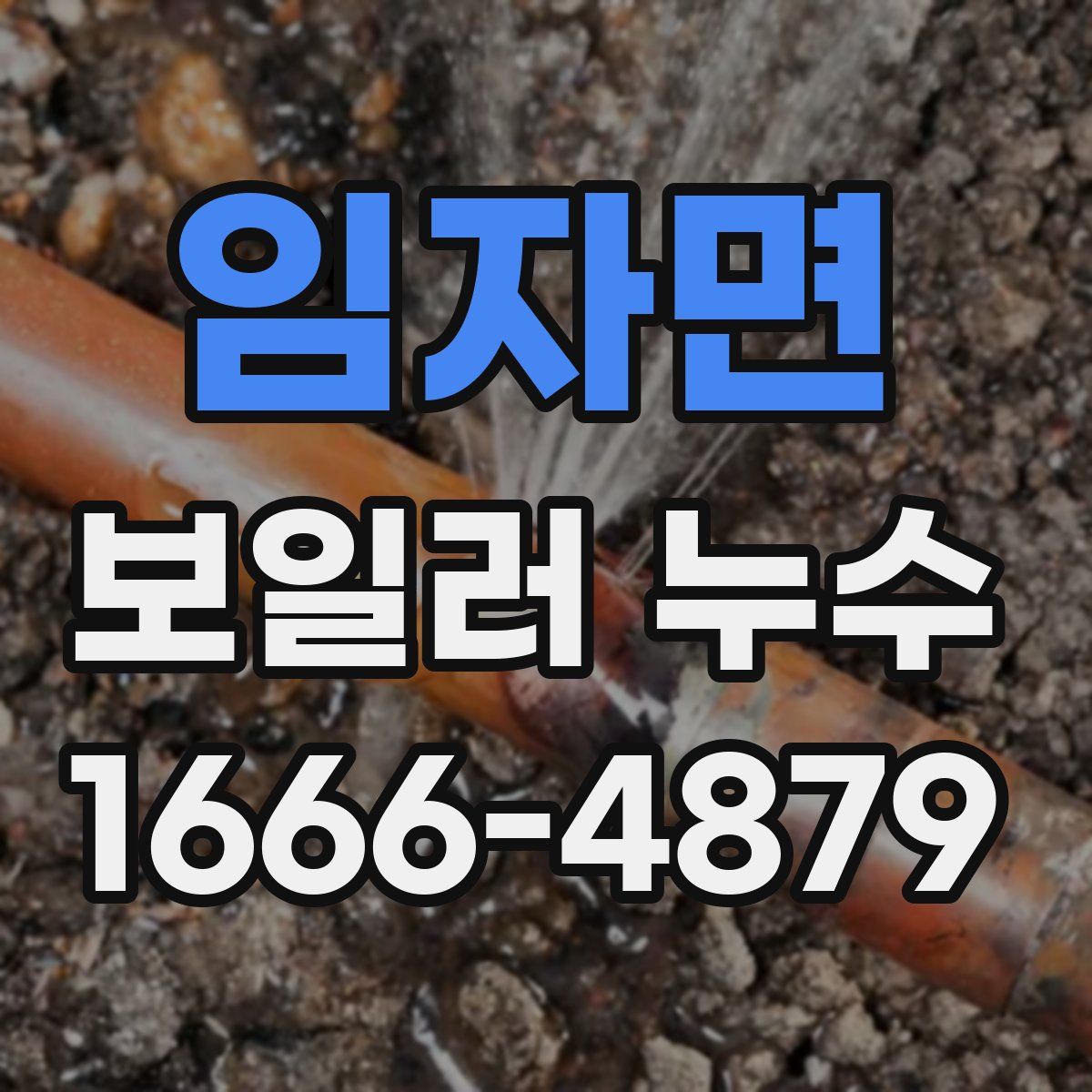 임자면 보일러 누수
