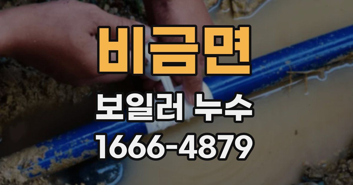 비금면 보일러 누수