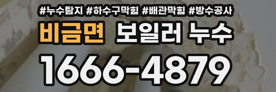 비금면 보일러 누수