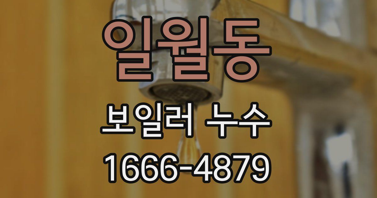 일월동 보일러 누수