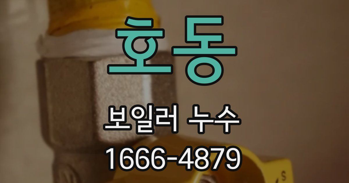 호동 보일러 누수
