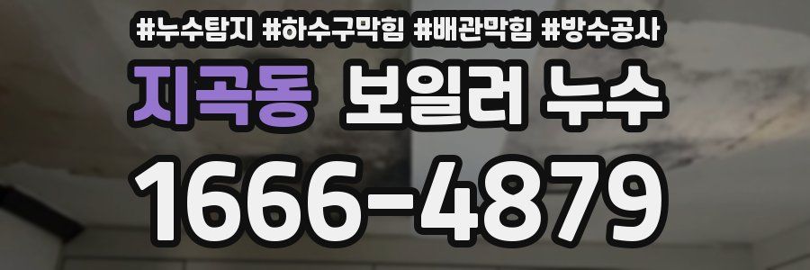 지곡동 보일러 누수