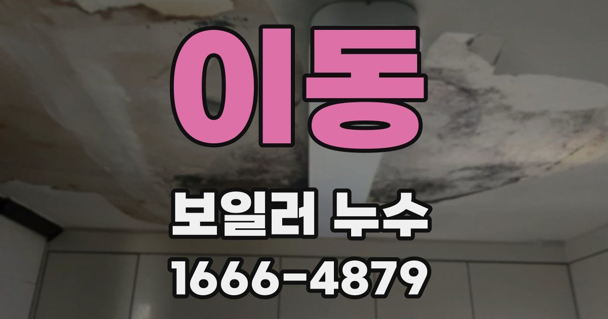 이동 보일러 누수