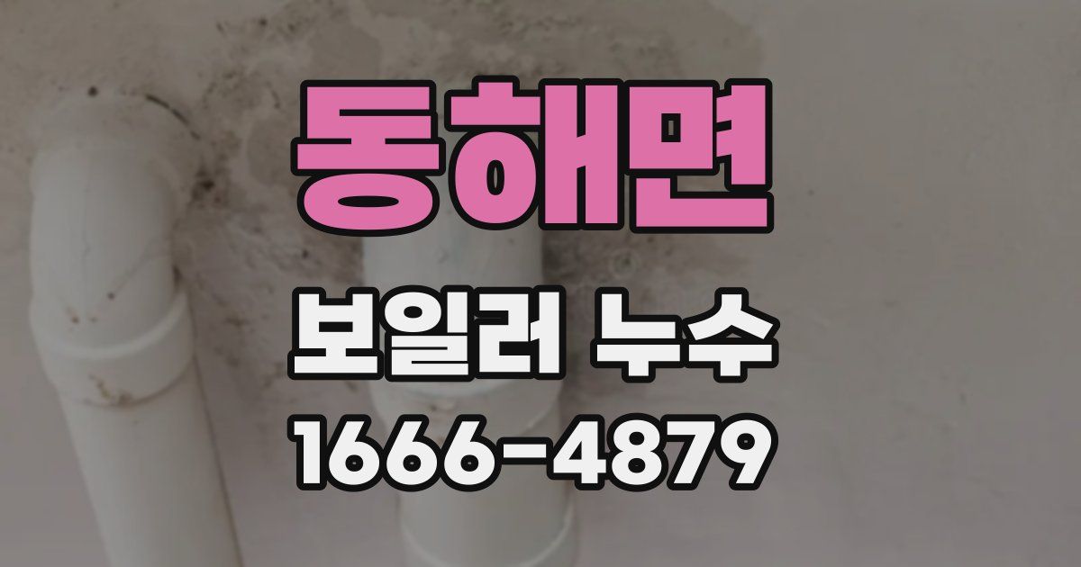 동해면 보일러 누수