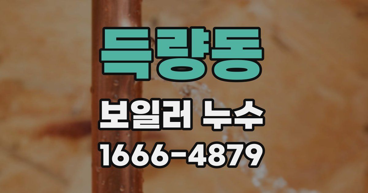 득량동 보일러 누수