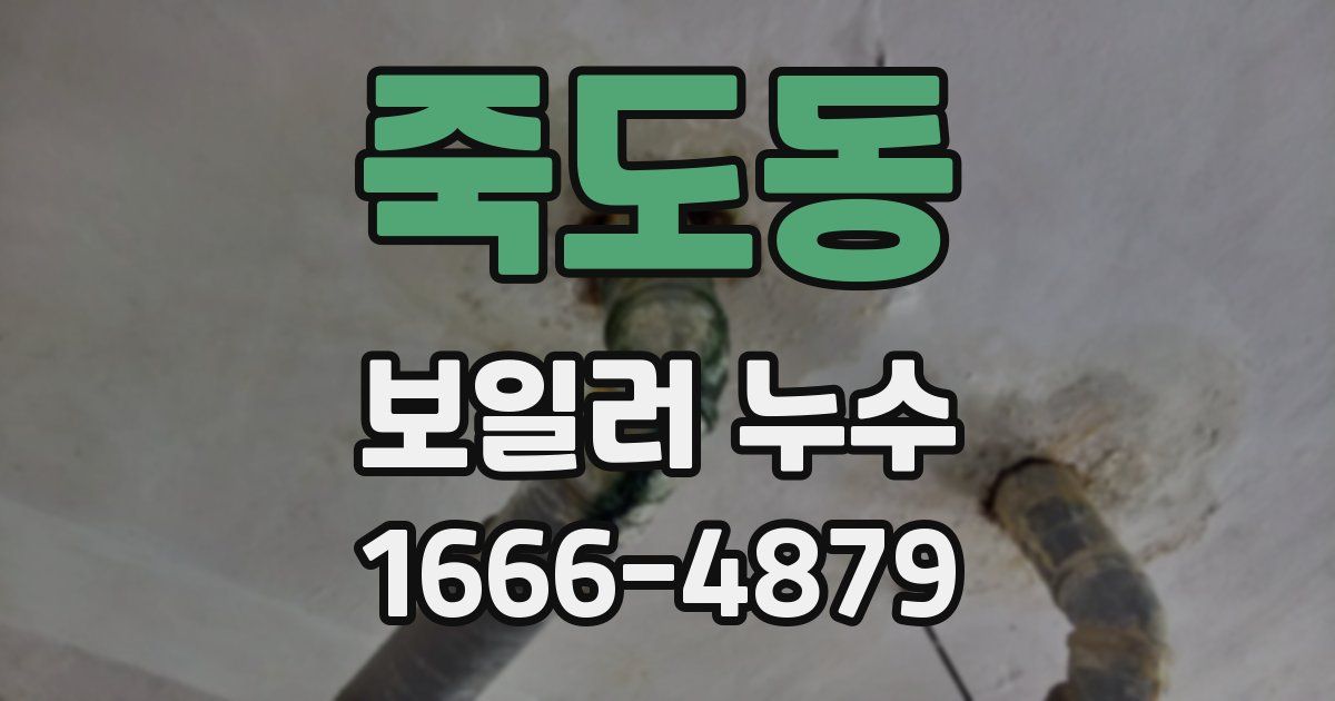 죽도동 보일러 누수