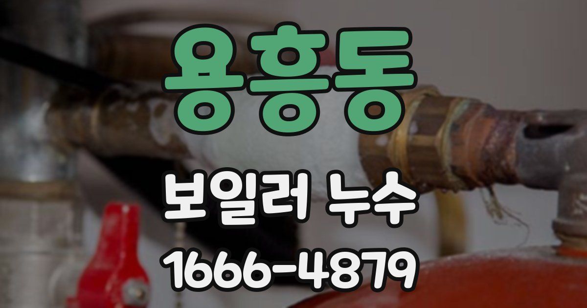 용흥동 보일러 누수